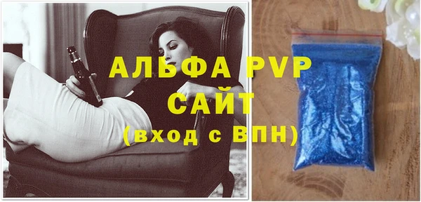 ECSTASY Богданович